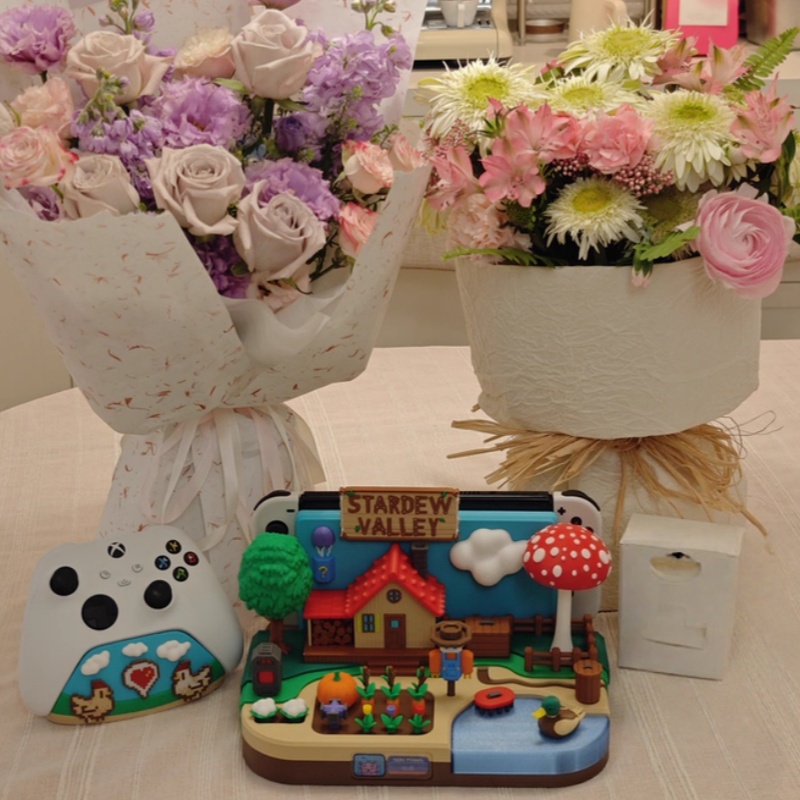 Switch Dock Stardew Valley Far - Gaming Console With review and price